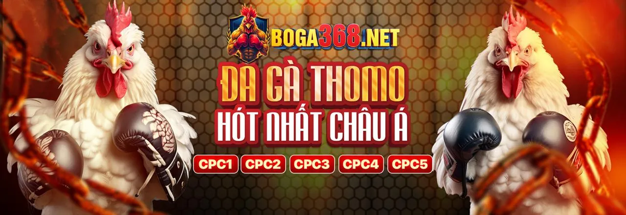 Các loại trò chơi đa dạng tại nohu28