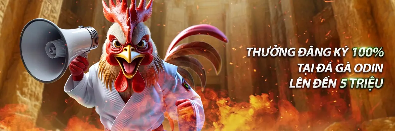 Hình ảnh tài nguyên nohu28, hướng dẫn chơi game và mẹo cá cược an toàn